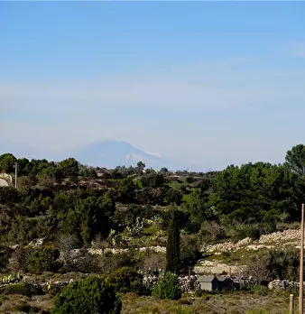 Foto annuncio 18