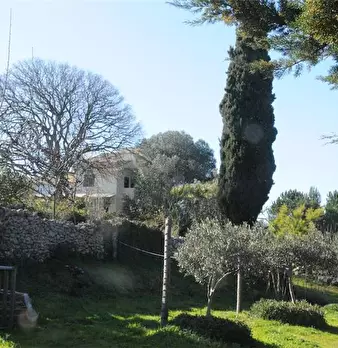 Foto annuncio 19
