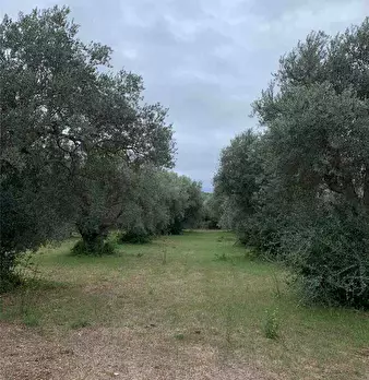 Foto annuncio 10