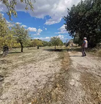 Foto annuncio 13