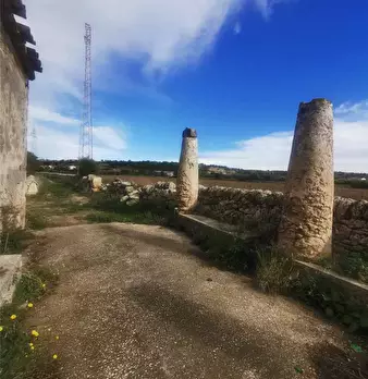 Foto annuncio 16