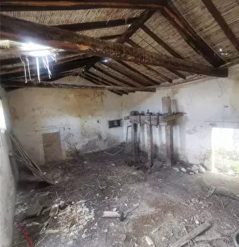 Foto annuncio 19