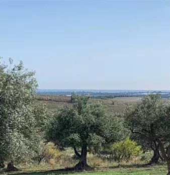 Foto annuncio 18
