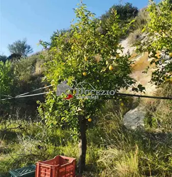 Foto annuncio 16