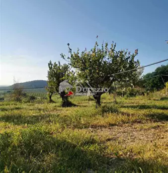 Foto annuncio 17