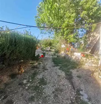 Foto annuncio 19