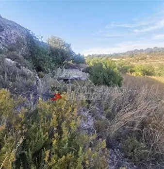 Foto annuncio 16