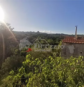 Foto annuncio 17