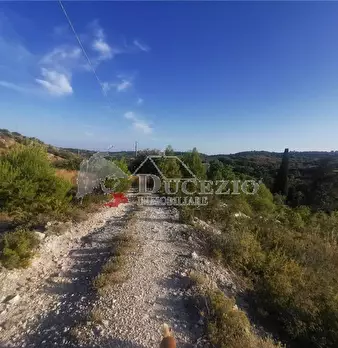 Foto annuncio 18