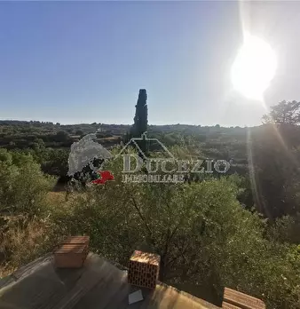 Foto annuncio 19