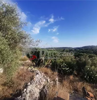 Foto annuncio 20