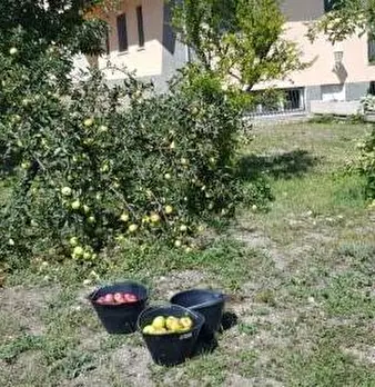 Foto annuncio 16