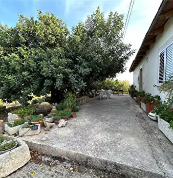 Foto annuncio 12