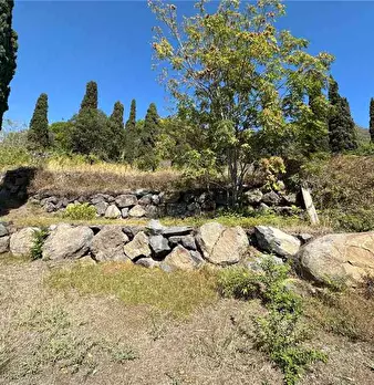 Foto annuncio 20