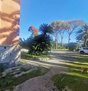 Foto annuncio 17