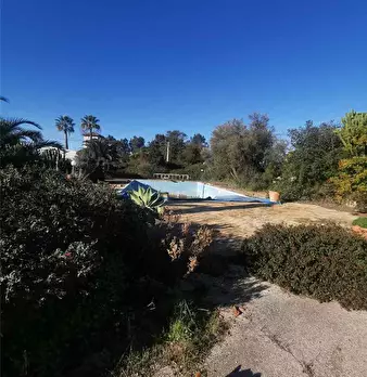 Foto annuncio 18