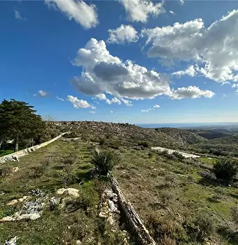 Foto annuncio 16