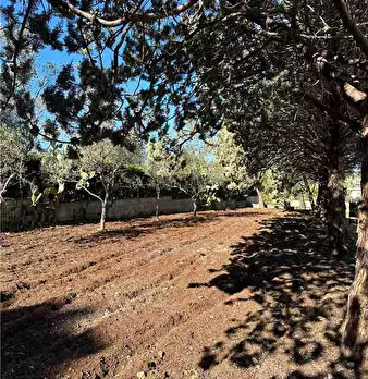 Foto annuncio 18