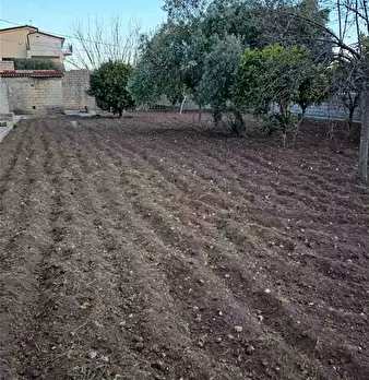 Foto annuncio 17