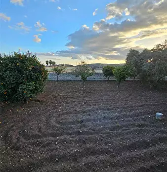 Foto annuncio 18