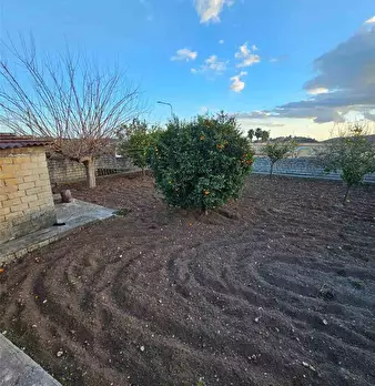 Foto annuncio 20