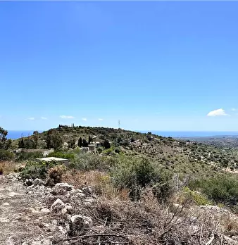 Foto annuncio 18