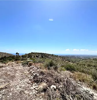 Foto annuncio 19