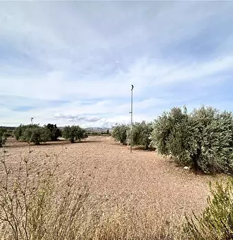 Foto annuncio 16