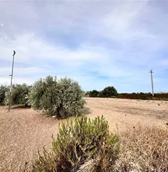 Foto annuncio 17