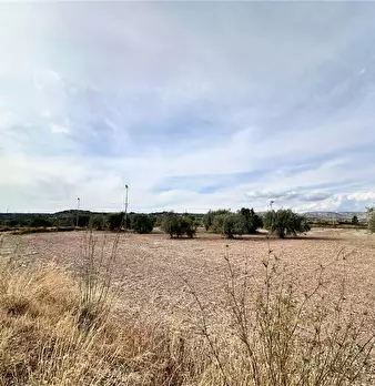 Foto annuncio 19