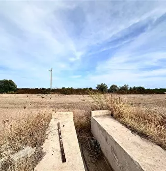 Foto annuncio 20