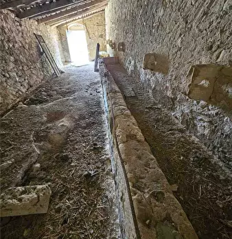 Foto annuncio 16