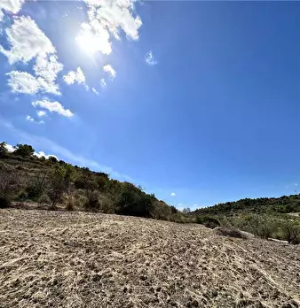 Foto annuncio 16