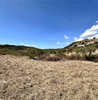 Foto annuncio 18