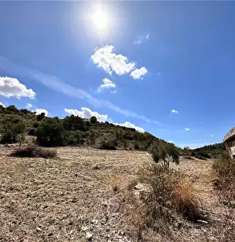 Foto annuncio 19