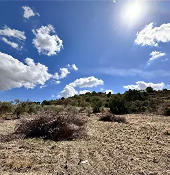 Foto annuncio 20