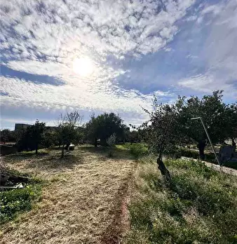 Foto annuncio 18