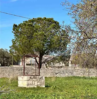Foto annuncio 19