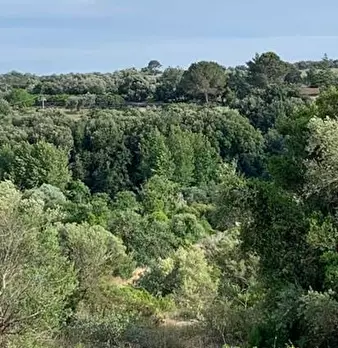 Foto annuncio 13