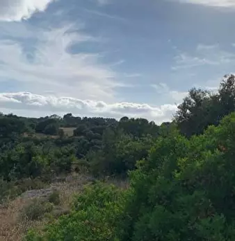 Foto annuncio 16
