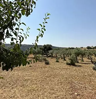 Foto annuncio 16