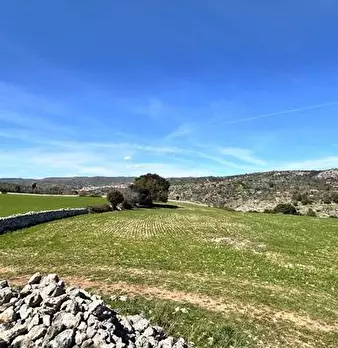 Foto annuncio 17