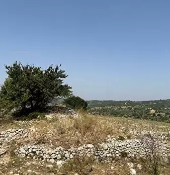 Foto annuncio 19