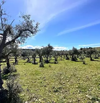 Foto annuncio 20
