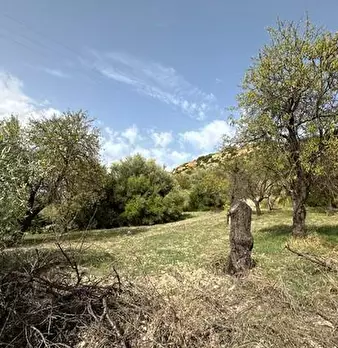 Foto annuncio 7