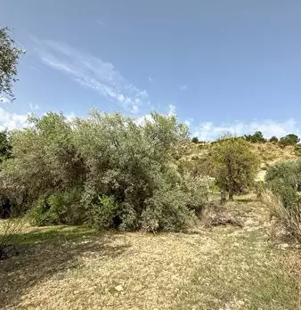 Foto annuncio 8