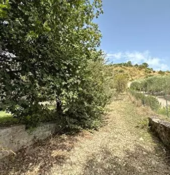 Foto annuncio 11