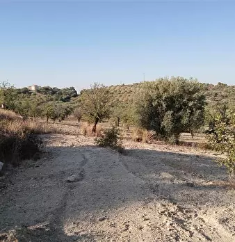 Foto annuncio 6