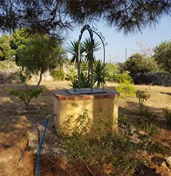 Foto annuncio 17