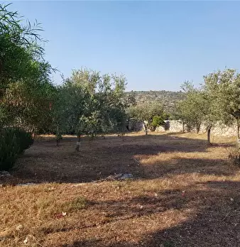 Foto annuncio 18